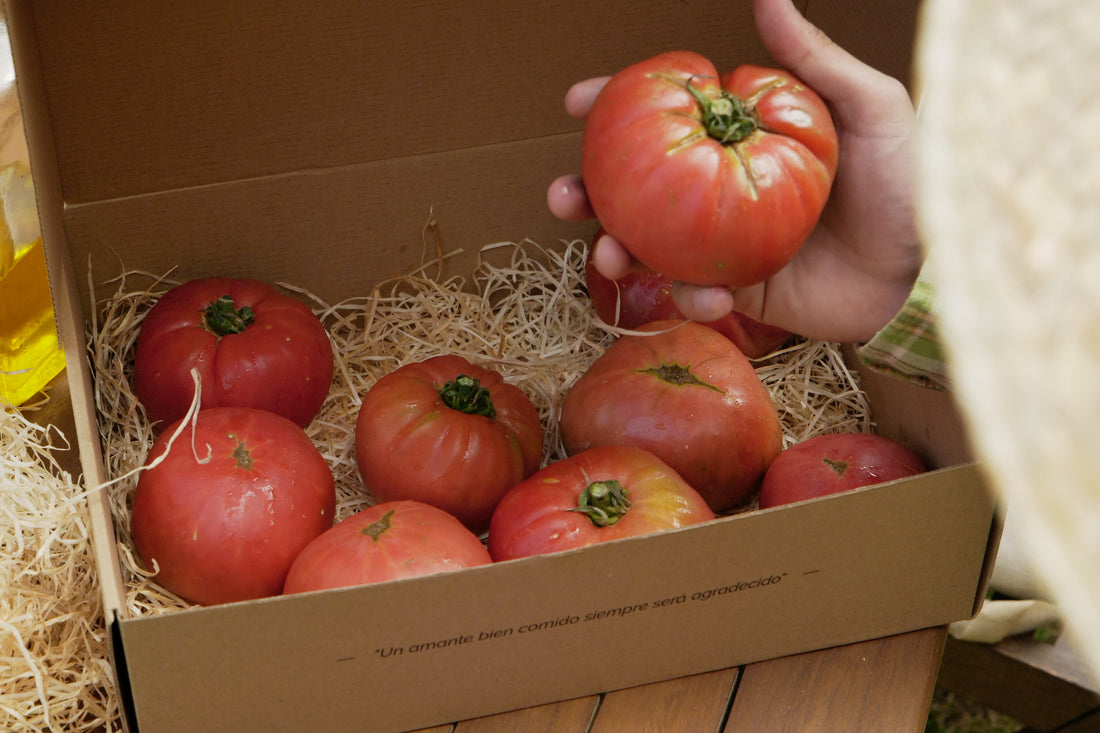 Tomate natural, orgánico y de proximidad