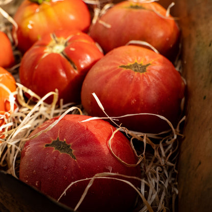 5 Kg de Amante Rosa